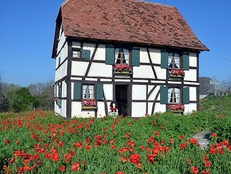 Steinbach Haus